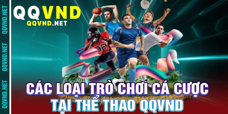 Thể thao qqvnd
